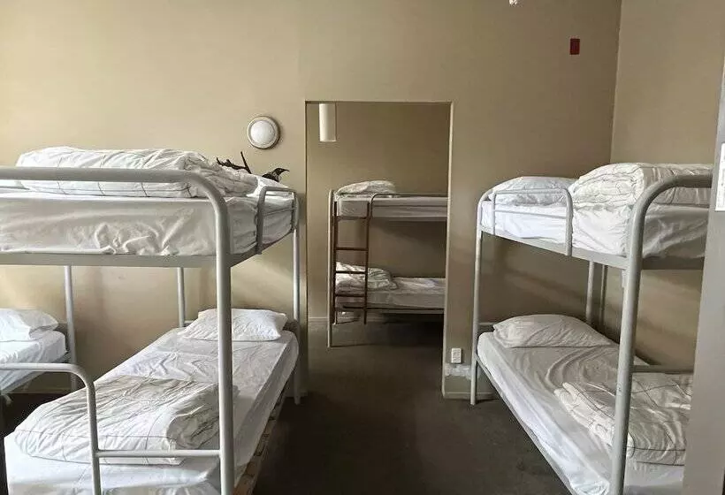 Retkeilymaja Uptown Backpackers