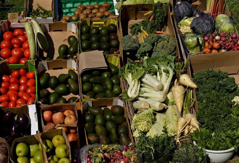 צימר Casa Villa Guest House