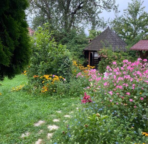 پانسیون Vila Sorina