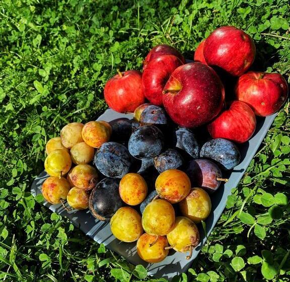 پانسیون Vila Sorina