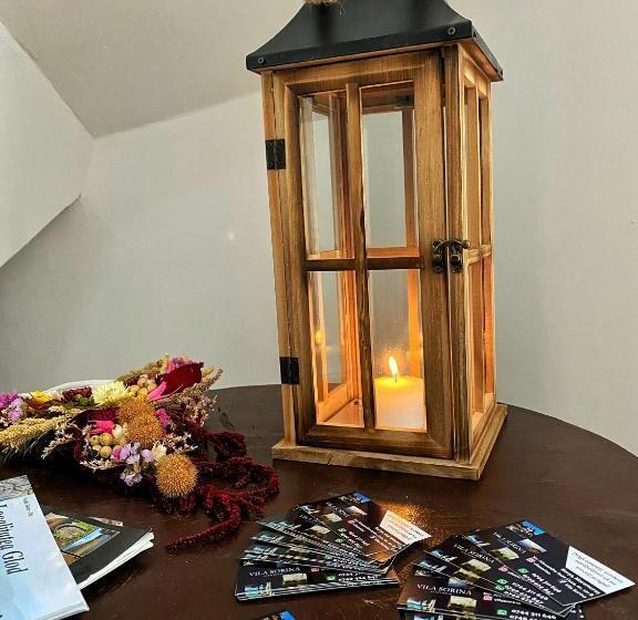 پانسیون Vila Sorina