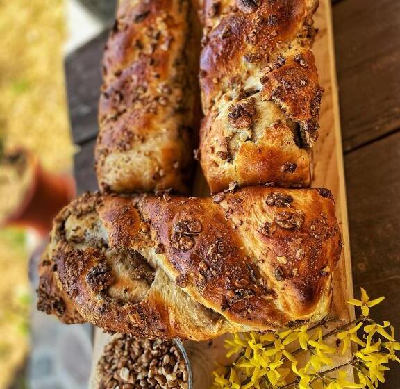 پانسیون Vila Sorina