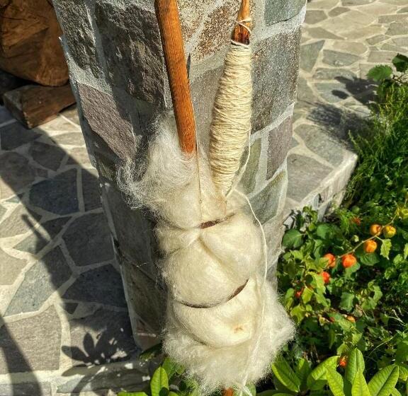 پانسیون Vila Sorina