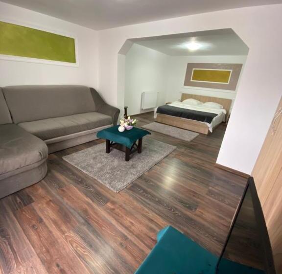 پانسیون Vila Sorina