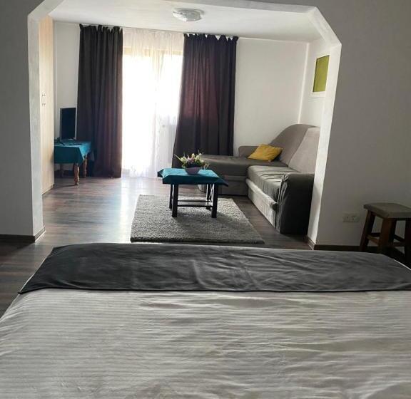 پانسیون Vila Sorina