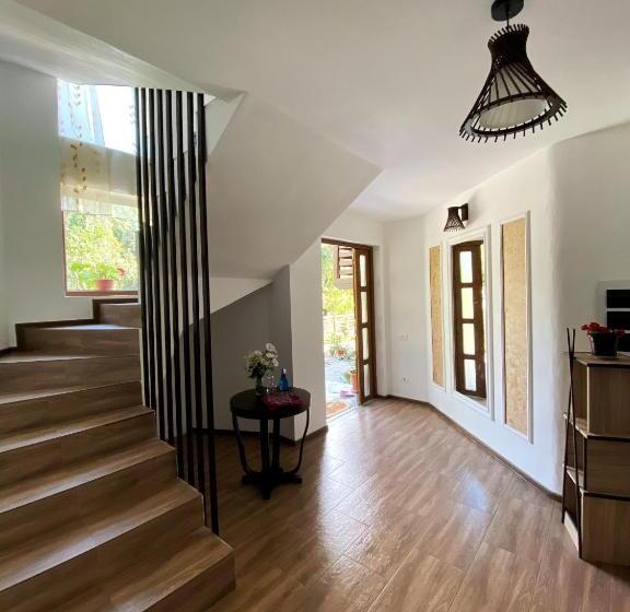 پانسیون Vila Sorina