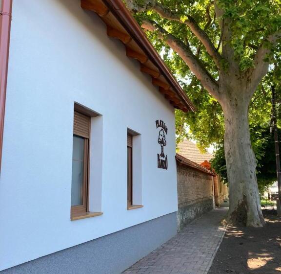 مبيت وإفطار Platán Panzió