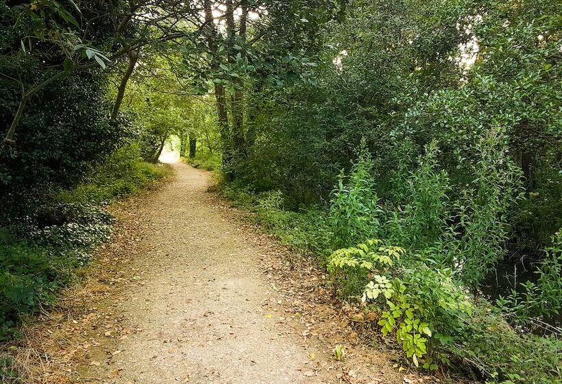 مبيت وإفطار Rathescar Grove