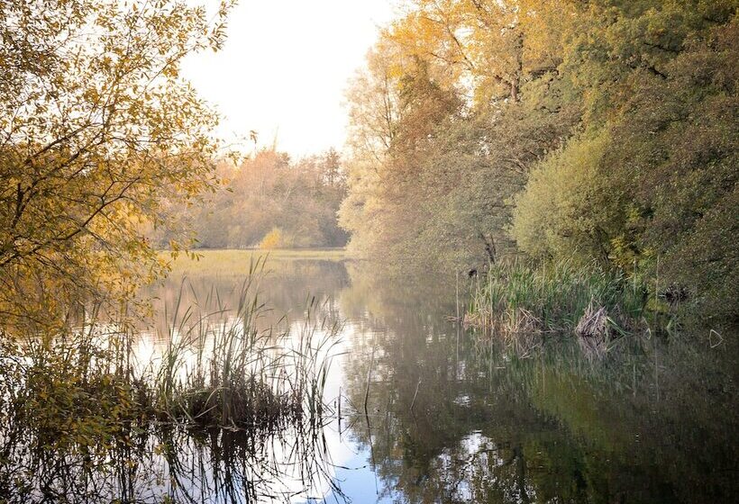 مبيت وإفطار Rathescar Grove