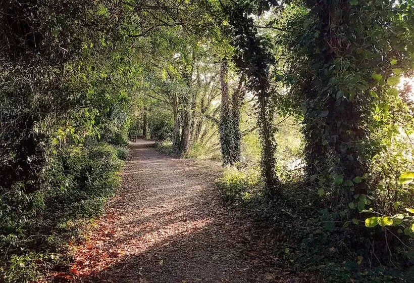 Aamiaismajoitus (B&B) Rathescar Grove