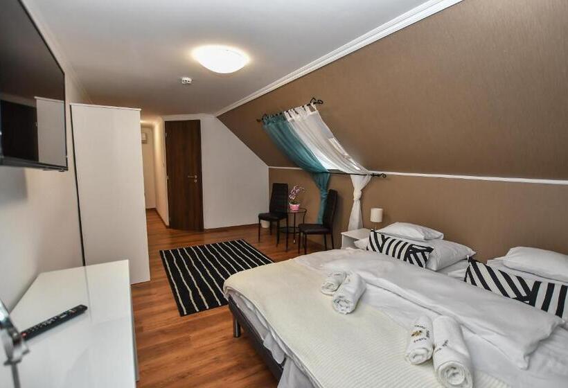 Bed and Breakfast é Vaskó Panzió Borpince