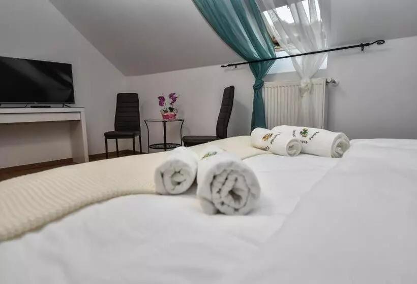 Aamiaismajoitus (B&B) é Vaskó Panzió Borpince