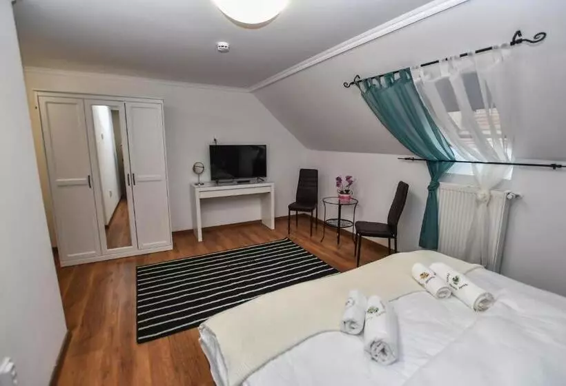 Aamiaismajoitus (B&B) é Vaskó Panzió Borpince