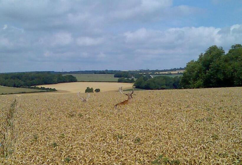 Chilgrove Farm Bed & Breakfast