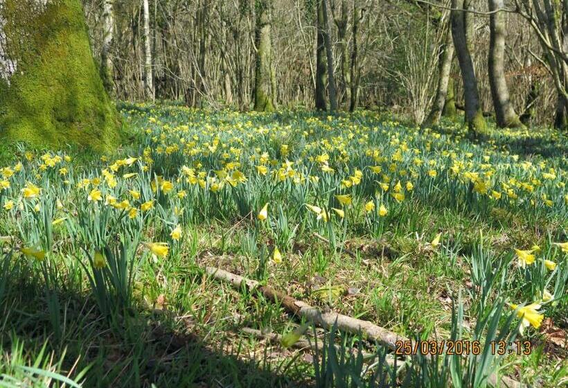 Chilgrove Farm Bed & Breakfast