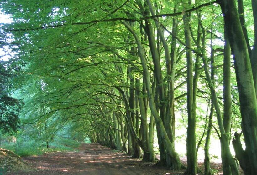 Chilgrove Farm Bed & Breakfast