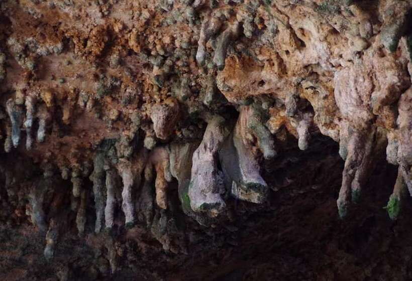 بنسيون Auberge Le Petit Jardin