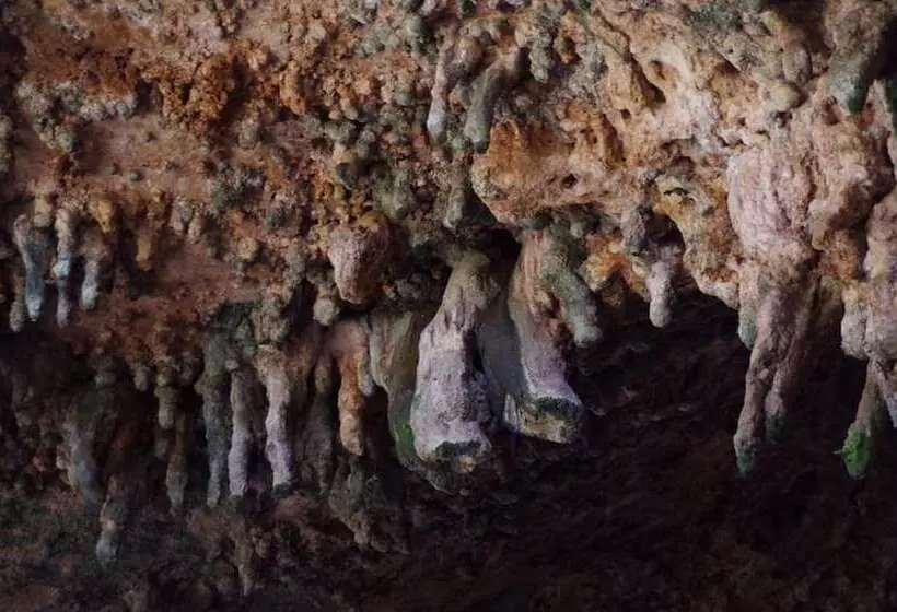 Majatalo Auberge Le Petit Jardin