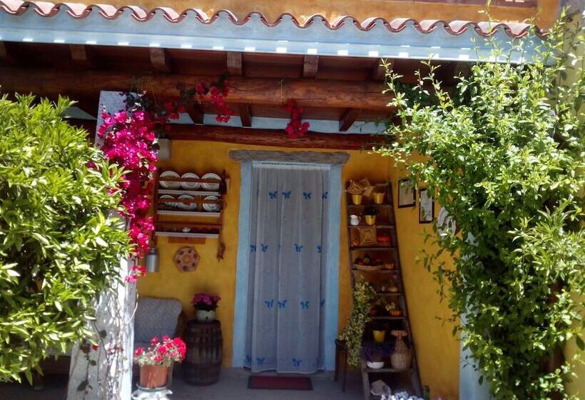 بنسيون L  Affittacamere Funtanedda