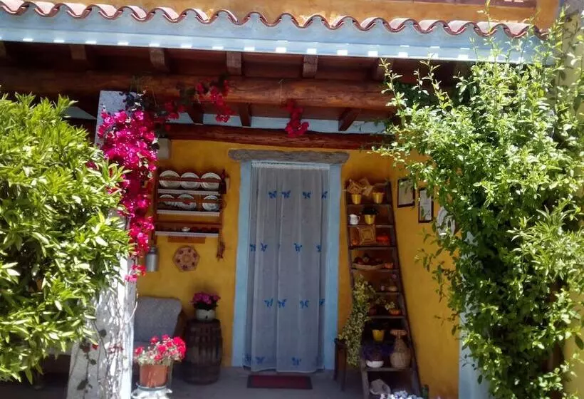 Majatalo L  Affittacamere Funtanedda