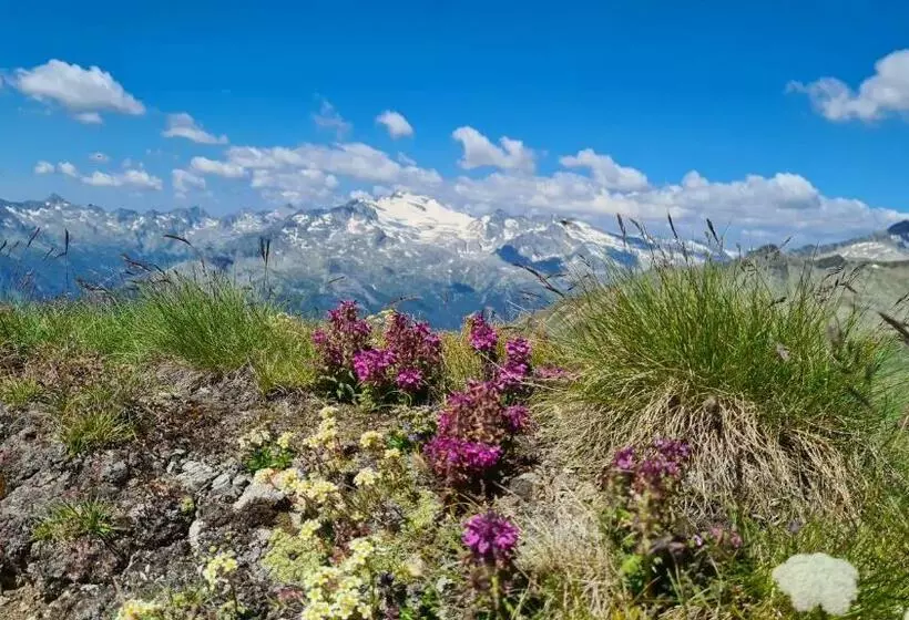Majatalo Sportbauernhof   Gasthaus Hochalmblick