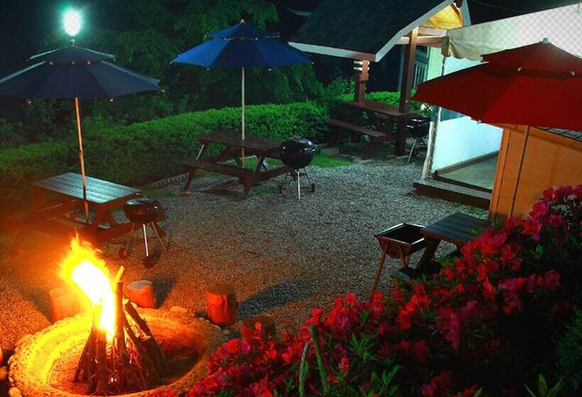 Petit Maison Pension