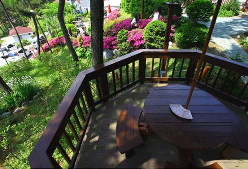 Petit Maison Pension