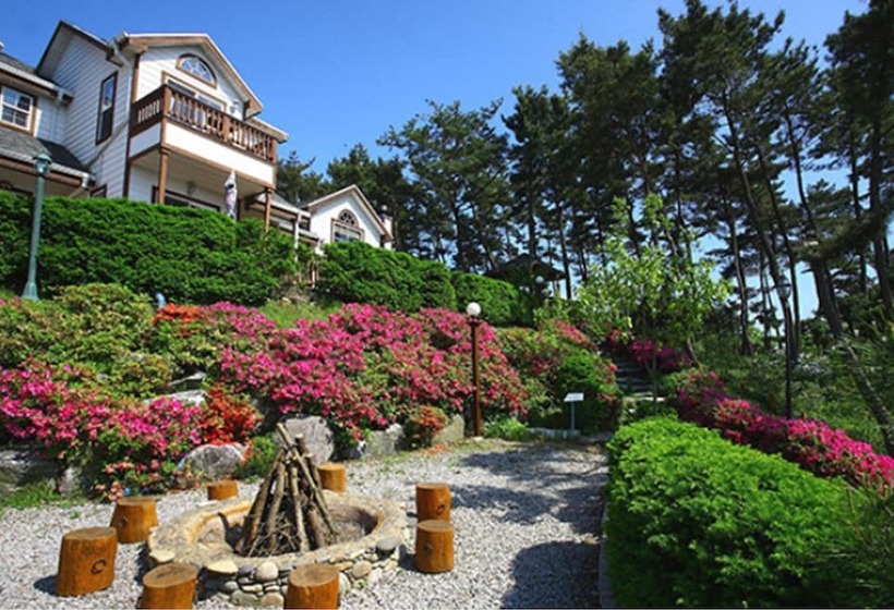 Petit Maison Pension