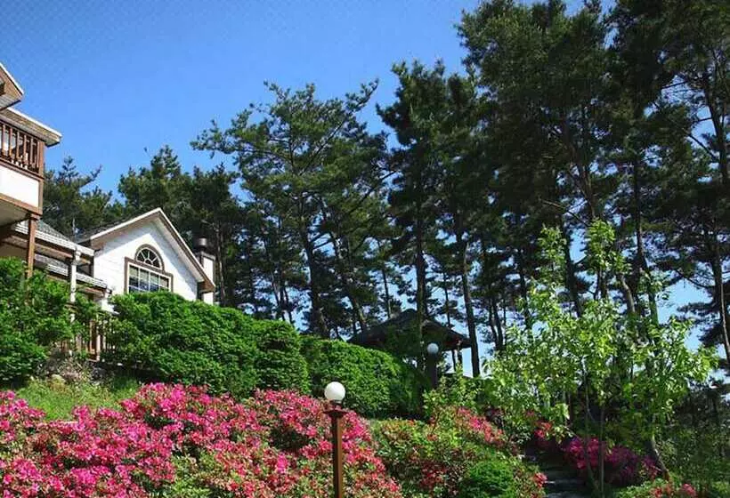 Petit Maison Pension