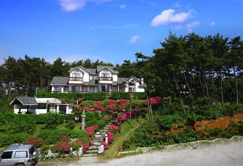 Petit Maison Pension