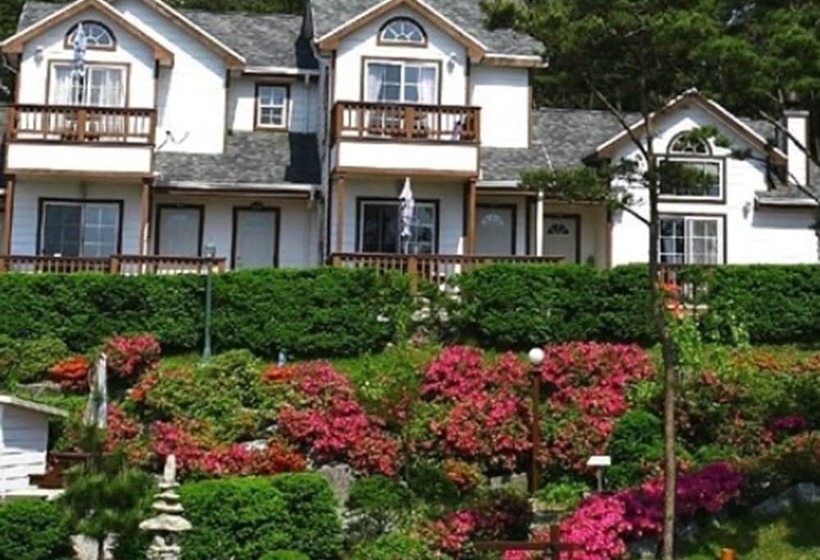 Petit Maison Pension