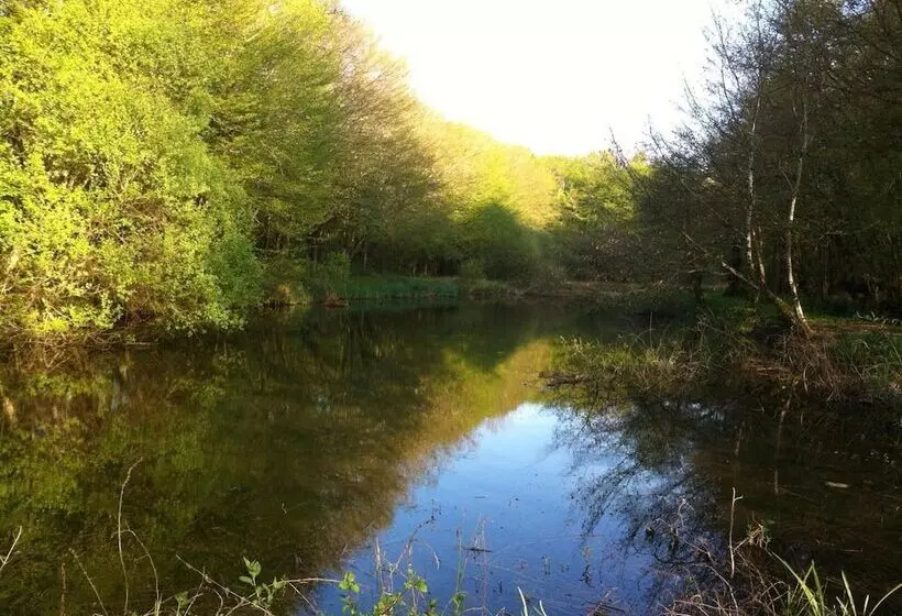 Aamiaismajoitus (B&B) Domaine De La Touche