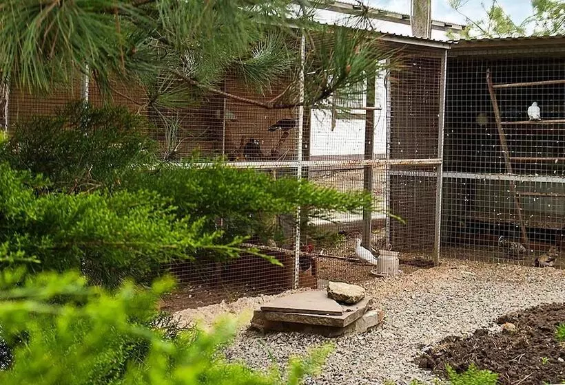 Aamiaismajoitus (B&B) Ribachka