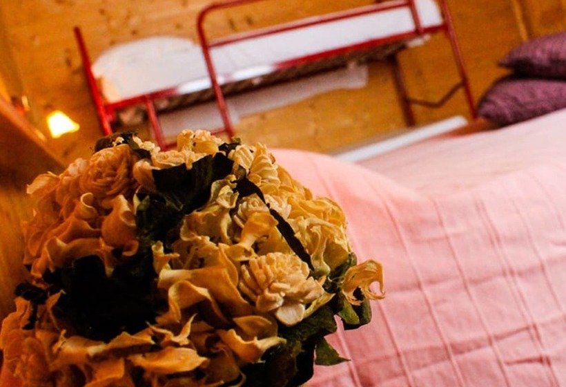 호텔 Albergo Genzianella