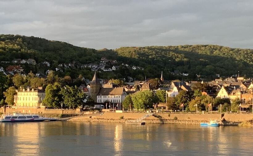 Отель Rheinvilla Arte