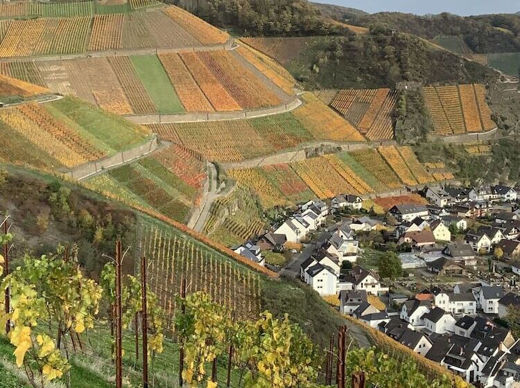 Отель Rheinvilla Arte