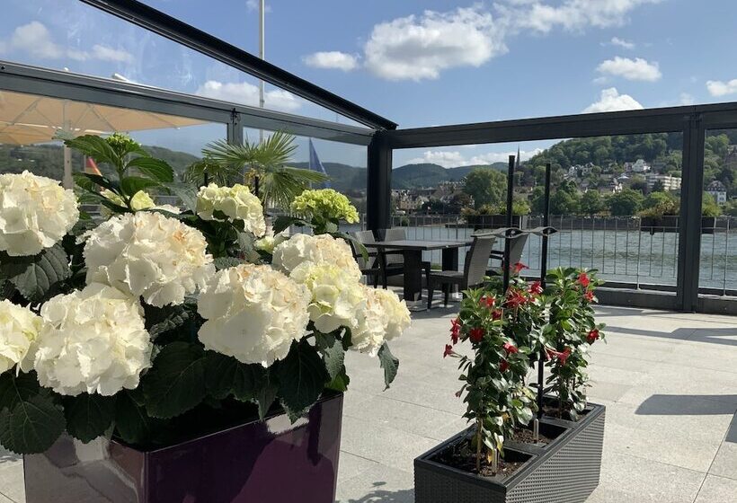 Отель Rheinvilla Arte