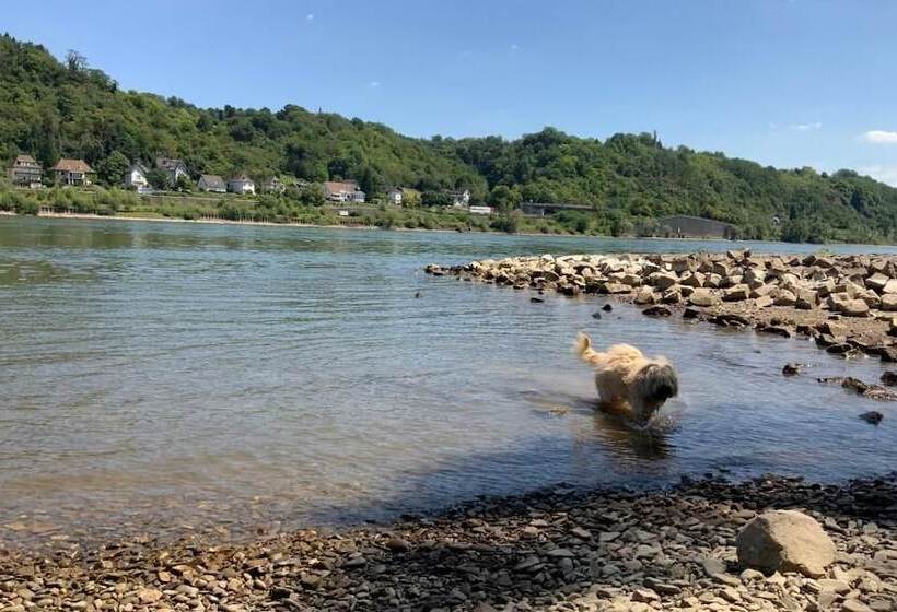 Отель Rheinvilla Arte