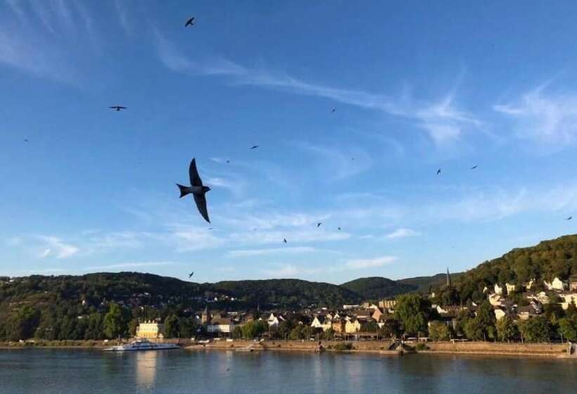 Отель Rheinvilla Arte