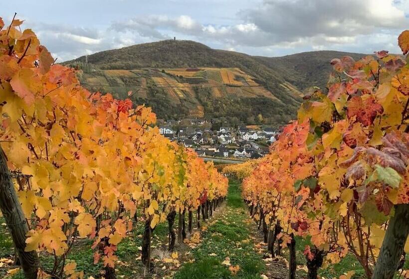 Отель Rheinvilla Arte