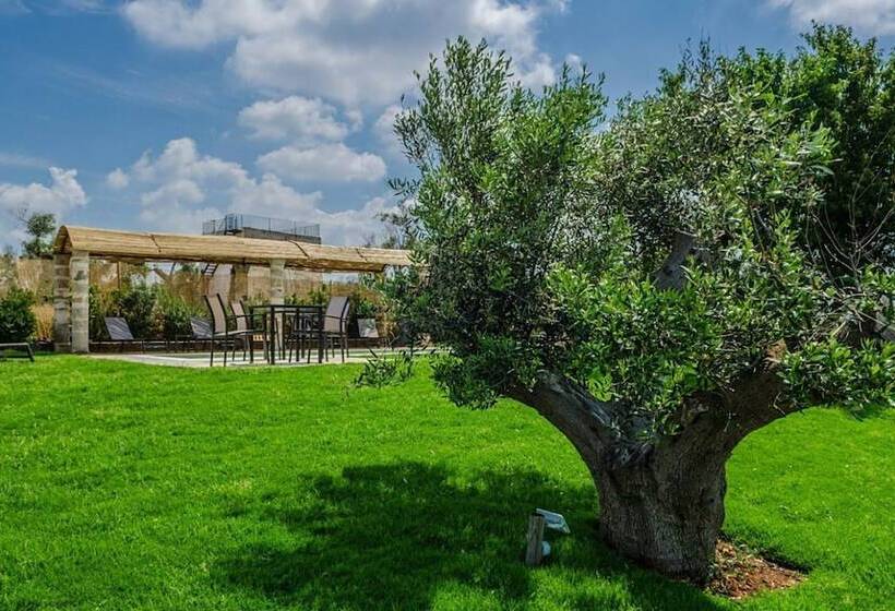 Panzió Camera Family Torre Dell Alto Mare