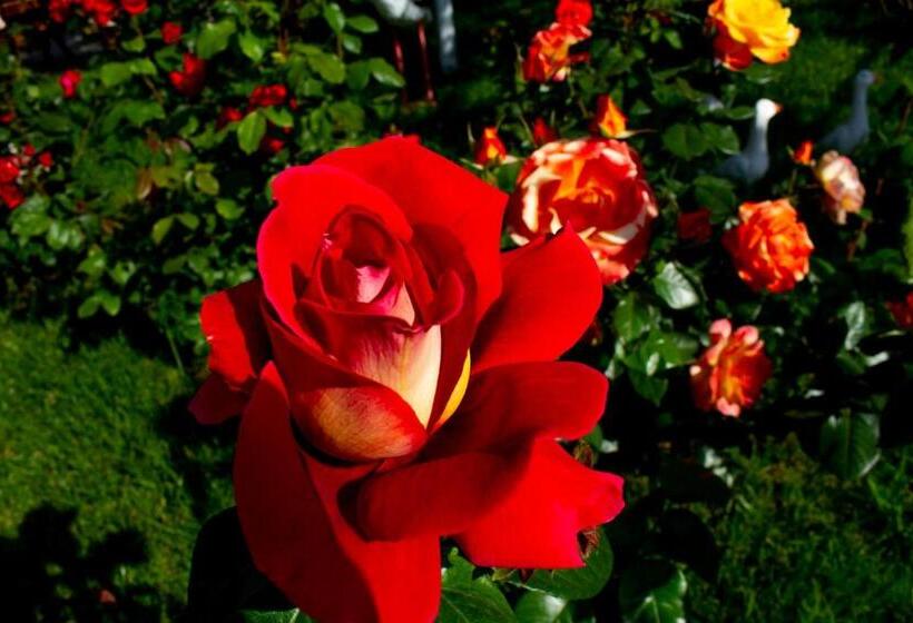 Pensiune Casa La Flori