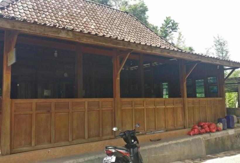 פנסיון Homestay Joyo