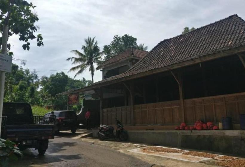 פנסיון Homestay Joyo