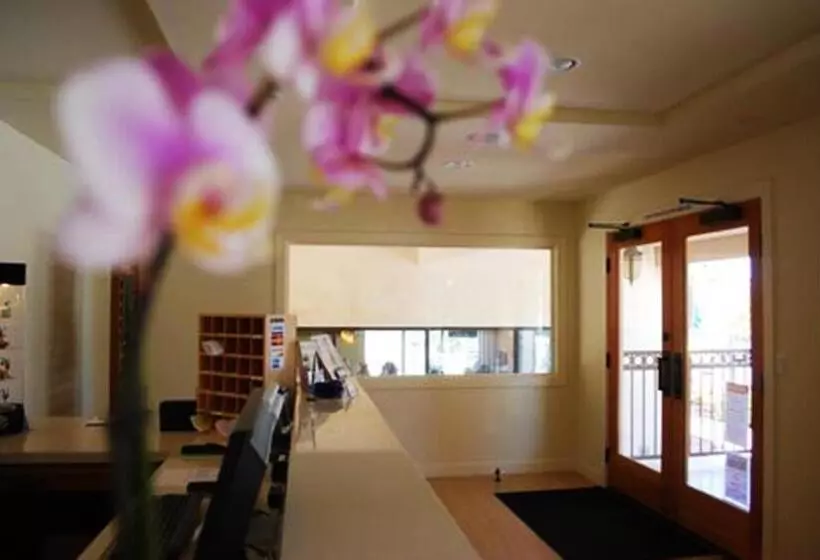 هتل Bella Capri Inn And Suites