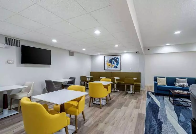 ホテル Comfort Inn & Suites