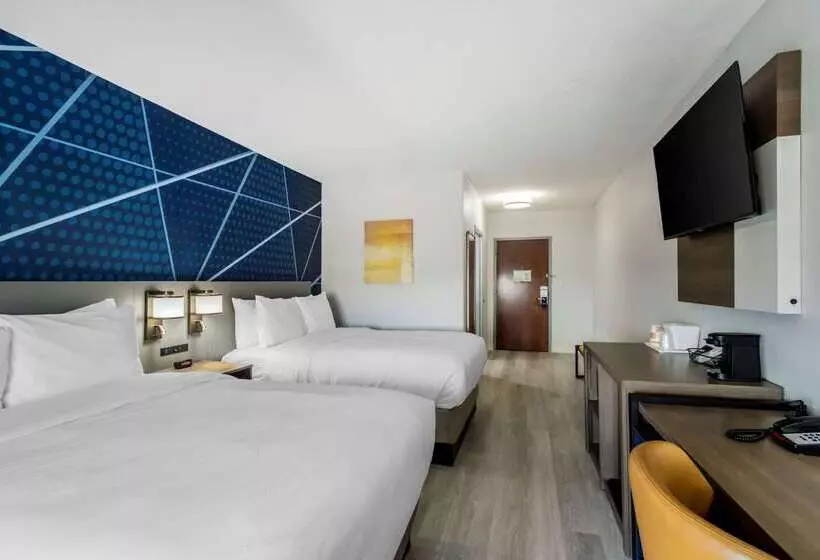 ホテル Comfort Inn & Suites