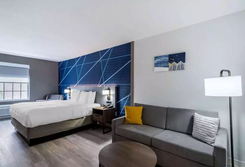 ホテル Comfort Inn & Suites