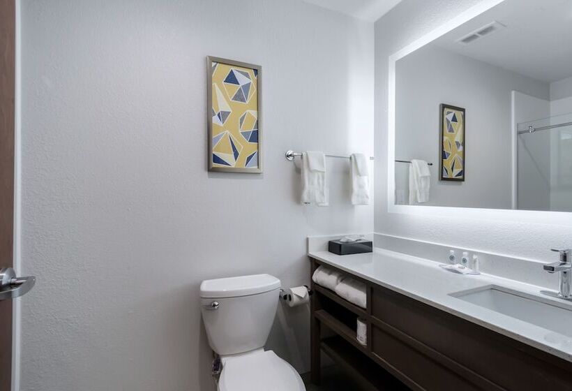 فندق Comfort Inn & Suites