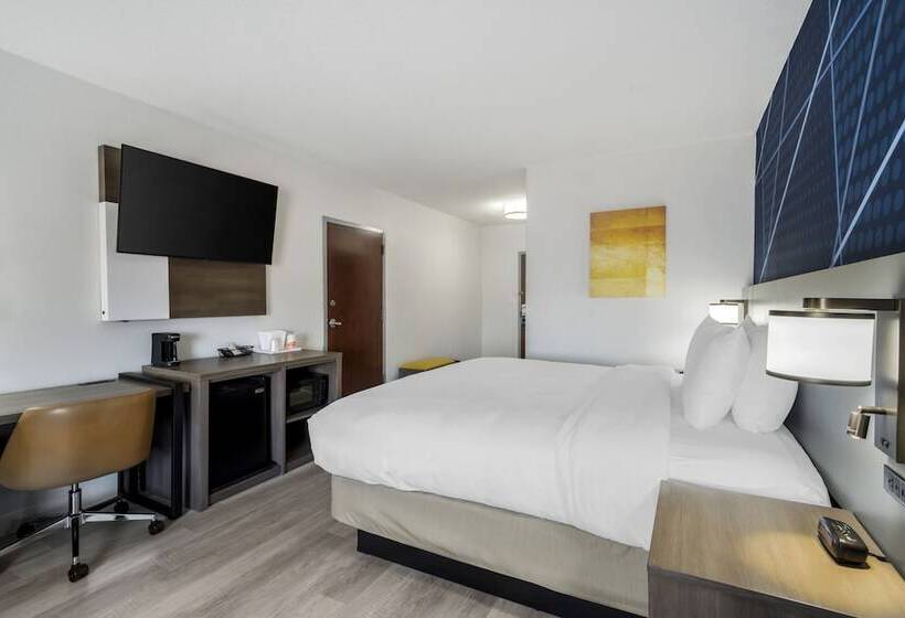 فندق Comfort Inn & Suites